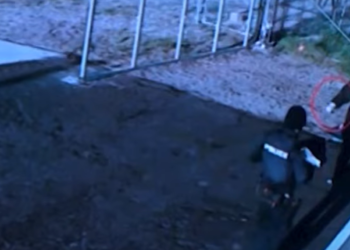 N.M. releases graphic surveillance, body camera footage of officer stabbed to death