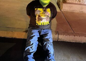 Lego tells California police department to stop using toy heads to hide suspect identity – Law Officer