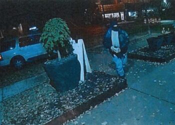 Minneapolis man charged with bombing hair salon – Law Officer