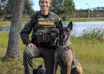 Florida deputy heroically saves K-9 partner from potentially fatal leap