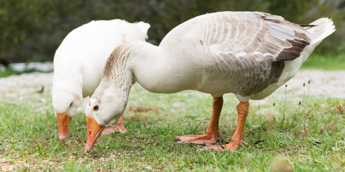 Reverse gender identity discrimination? Yes, it's a thing.: Employment & Labor Insider