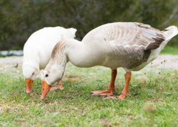 Reverse gender identity discrimination? Yes, it's a thing.: Employment & Labor Insider