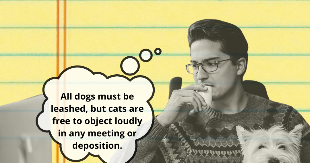 Happy National Pet Day, April 11