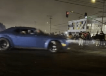 Kids Gone Wild – Law Officer