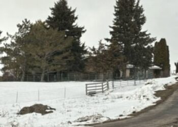 Condon put his gun to her head before she disclosed that there were two safes downstairs in the home, according to the review.