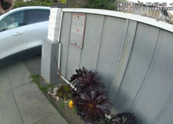 Woman shoots son, points gun at Calif. officers before fatal OIS