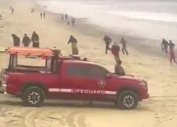 Dozens of migrants were caught on camera jumping off a speed boat that came ashore a California beach over the weekend and running into the nearby city.